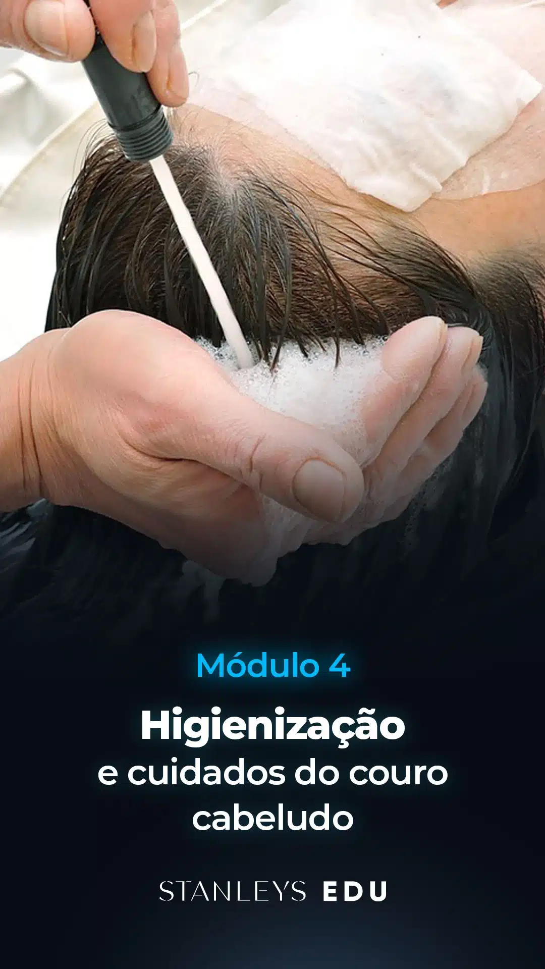 Modulo-4-Higienizacao